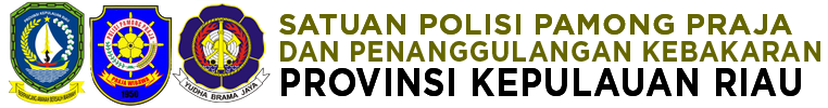 Satpol PP dan Penanggulangan Kebakaran Provinsi Kepri